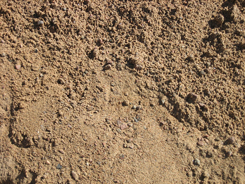 Самые популярные виды песка: добыча и использование